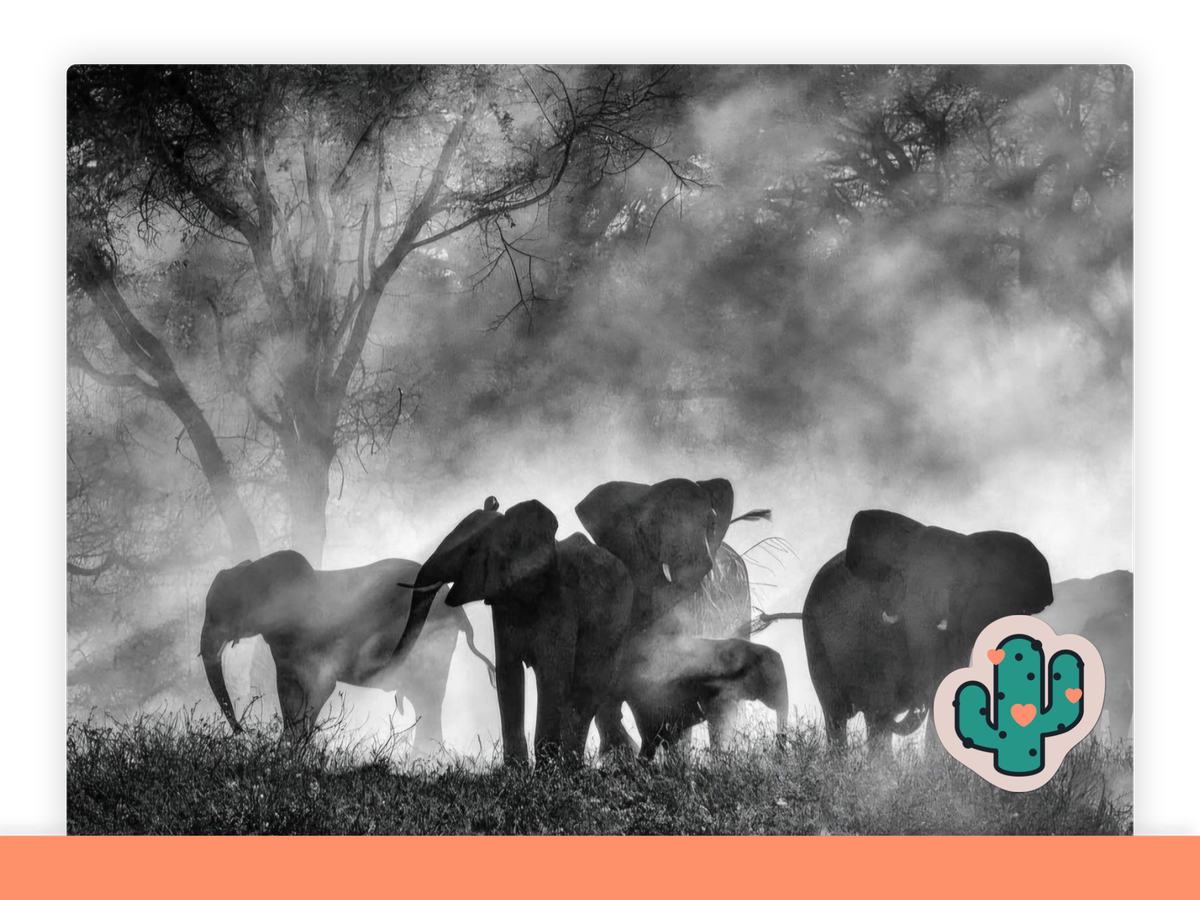 Ghost Elephants (Doku, 2025)